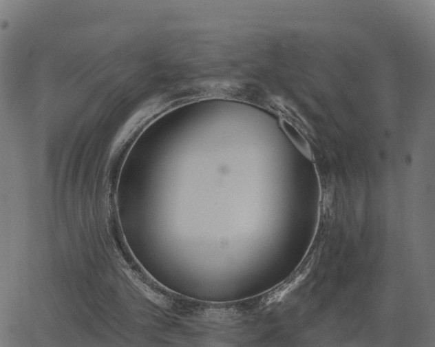 X0000062840101200601201648