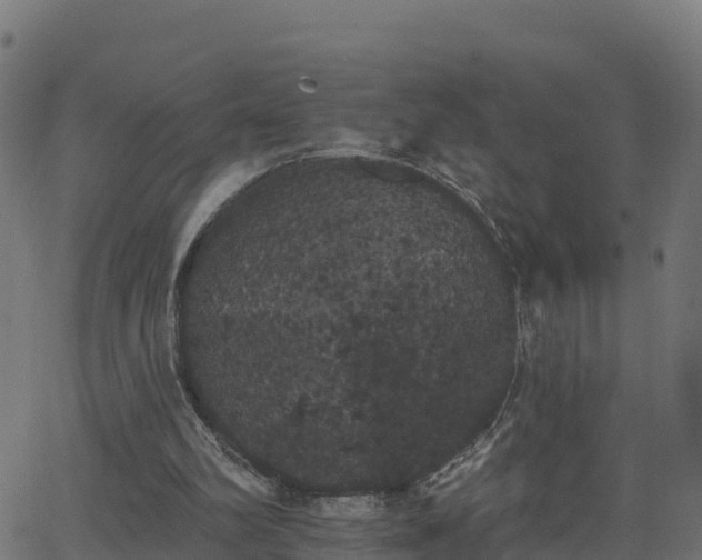 X0000062840102200601201648