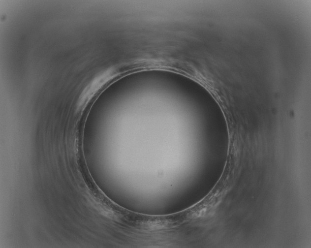 X0000062840103200601201648