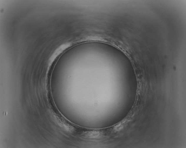 X0000062840104200601201648