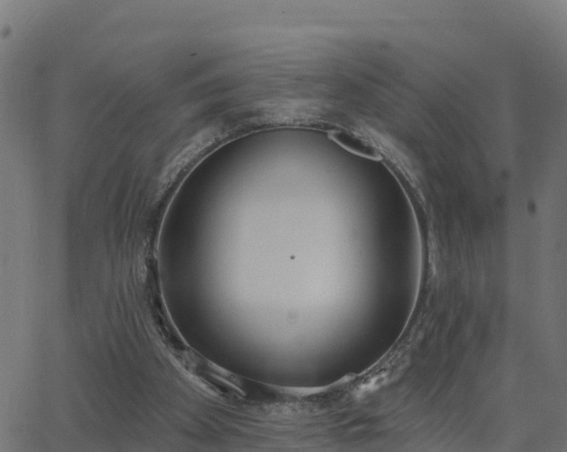 X0000062840105200601201648