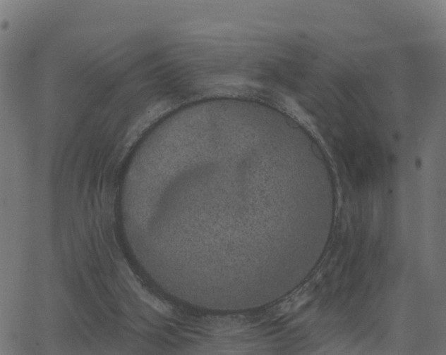 X0000062840106200601201648