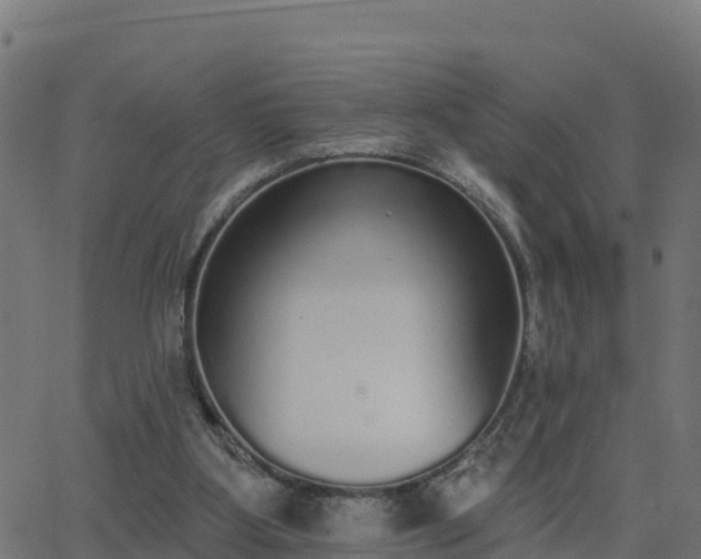 X0000062840107200601201648