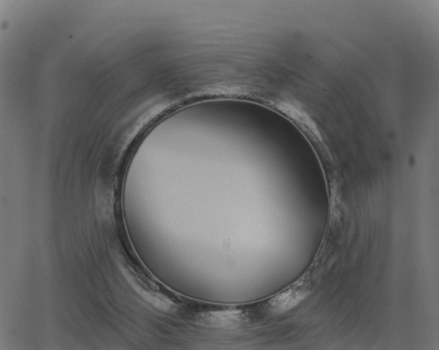 X0000062840108200601201648