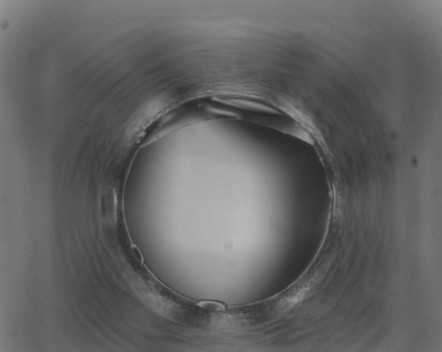 X0000062840109200601201648