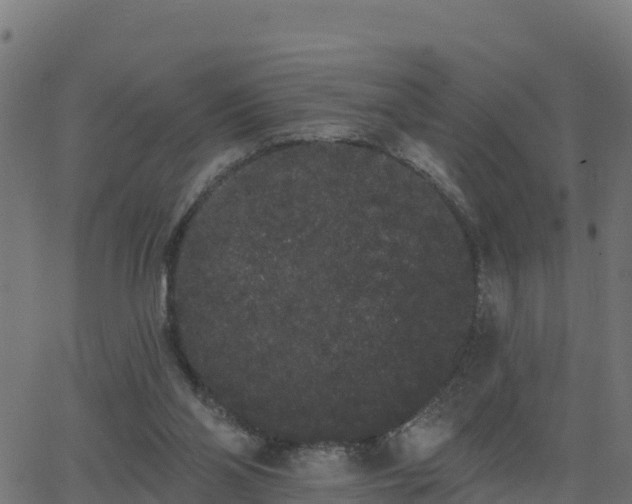 X0000062840110200601201648