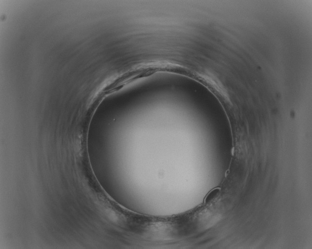 X0000062840111200601201648