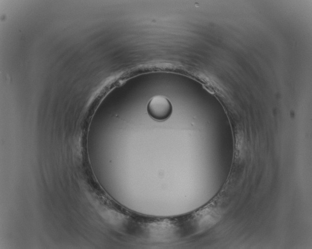 X0000062840112200601201648