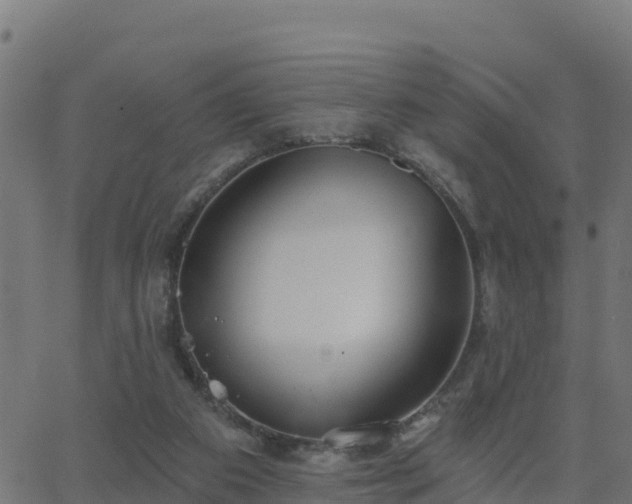 X0000062840113200601201648