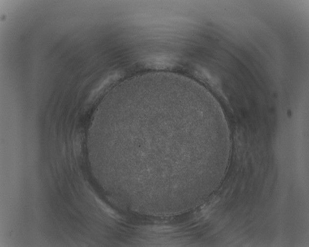 X0000062840114200601201648