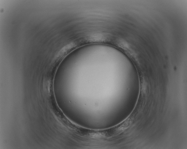 X0000062840115200601201648