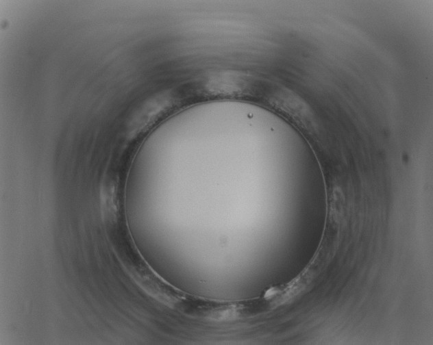 X0000062840116200601201648