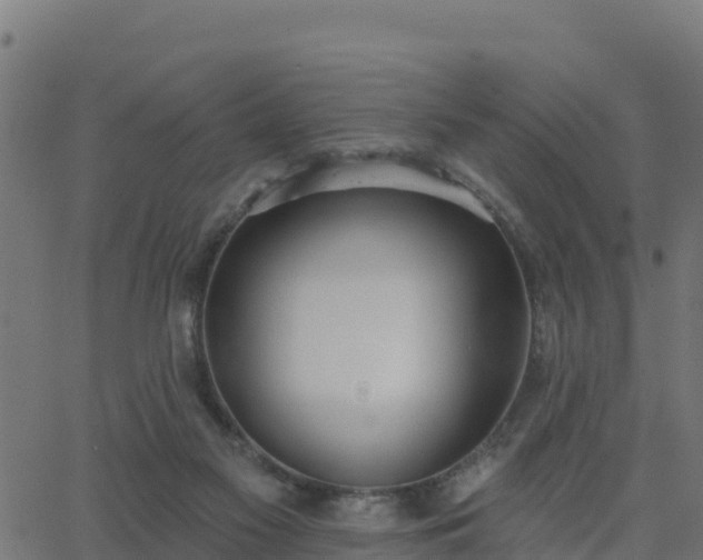 X0000062840117200601201648