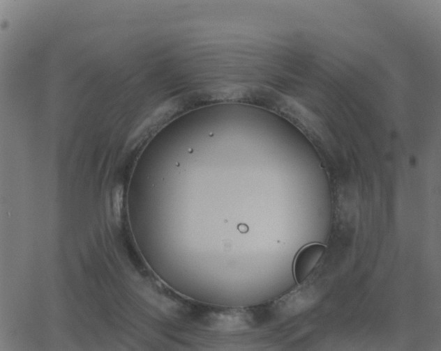 X0000062840118200601201648