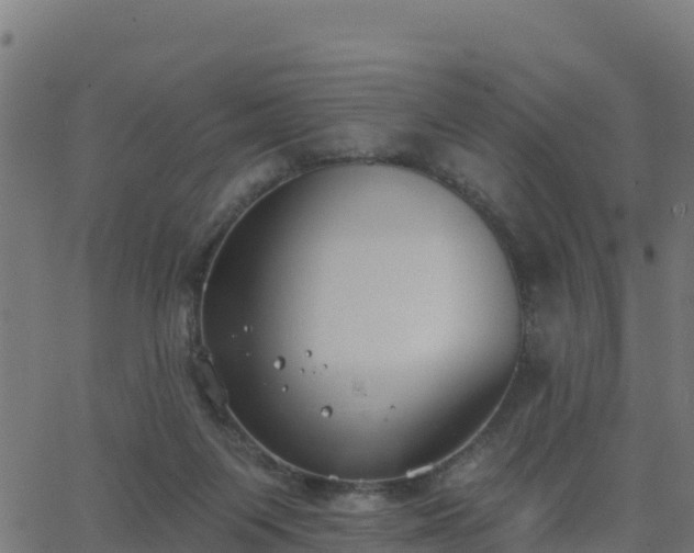 X0000062840119200601201648