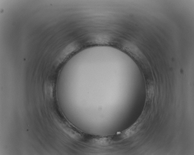 X0000062840120200601201648