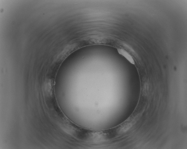 X0000062840121200601201648