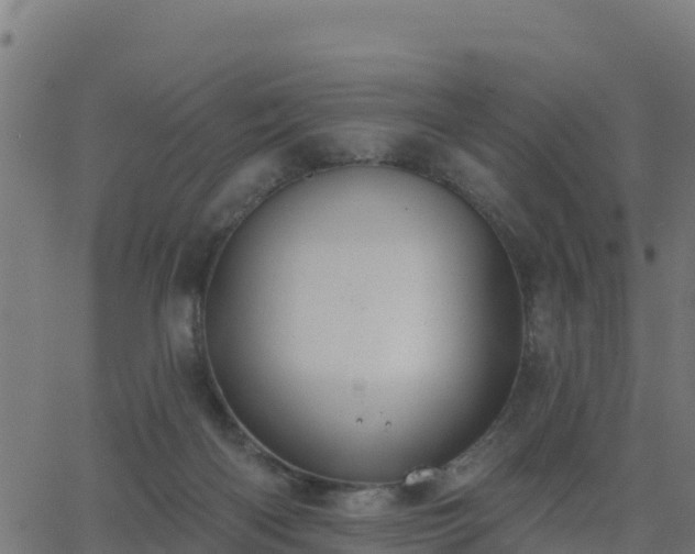 X0000062840122200601201648