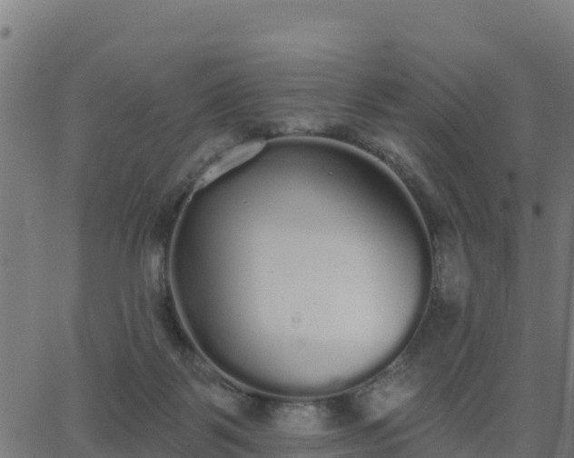 X0000062840123200601201648