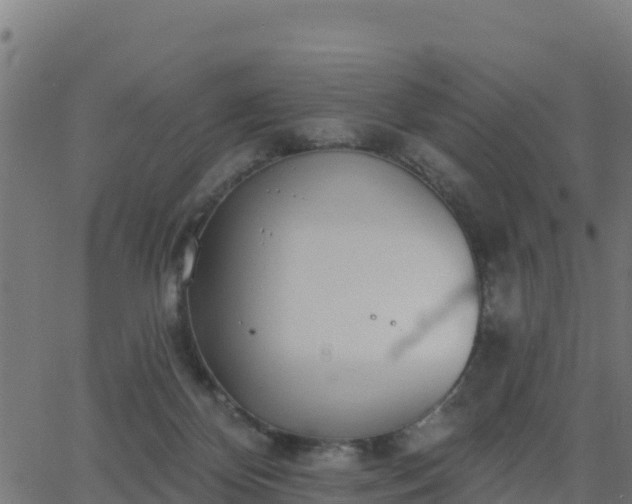 X0000062840124200601201648