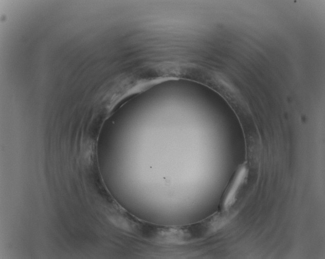 X0000062840125200601201648