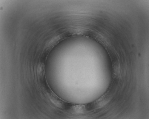 X0000062840126200601201648