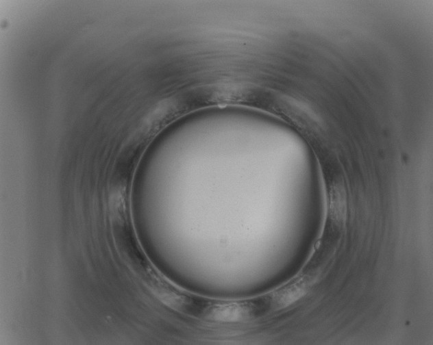 X0000062840127200601201648