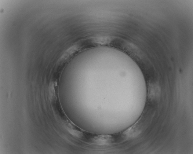 X0000062840128200601201648