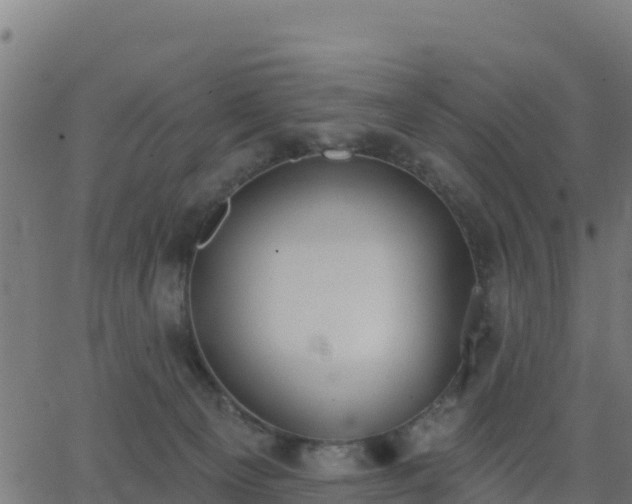 X0000062840129200601201648