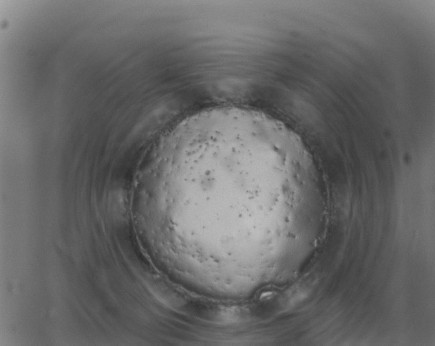 X0000062840130200601201648