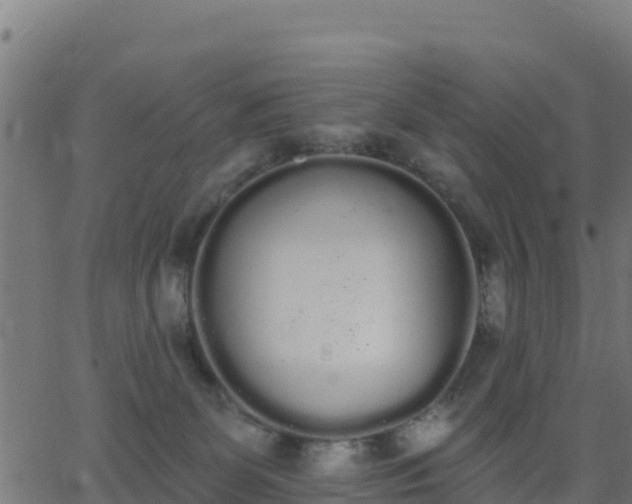 X0000062840131200601201648