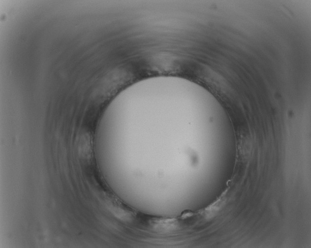 X0000062840132200601201648