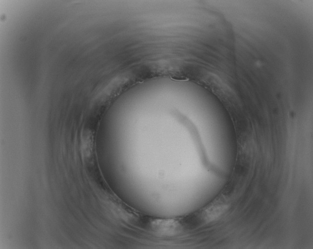 X0000062840133200601201647