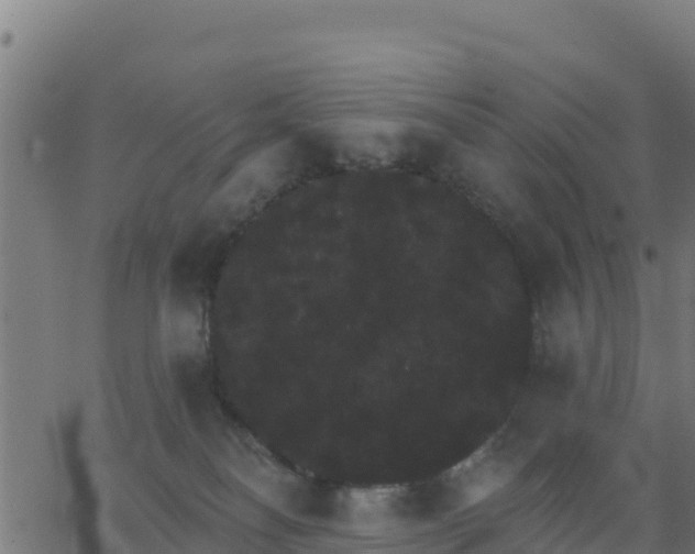 X0000062840134200601201647