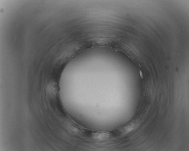 X0000062840135200601201647