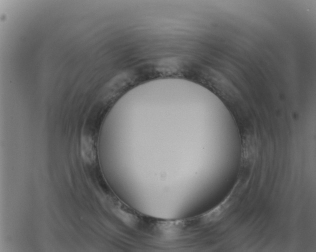 X0000062840136200601201647