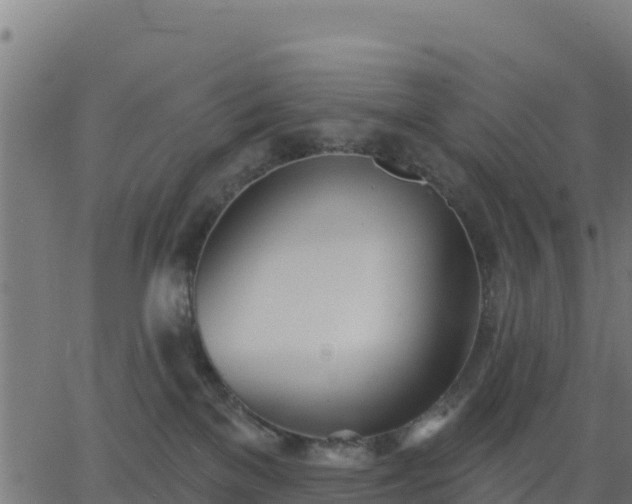 X0000062840137200601201647