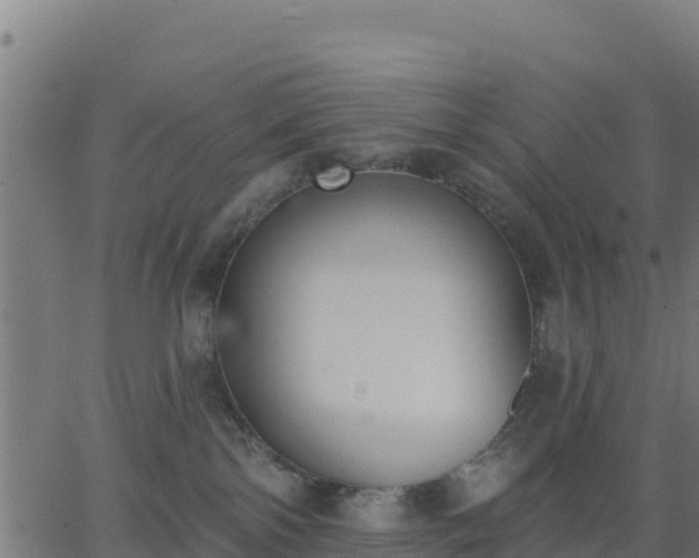 X0000062840138200601201647