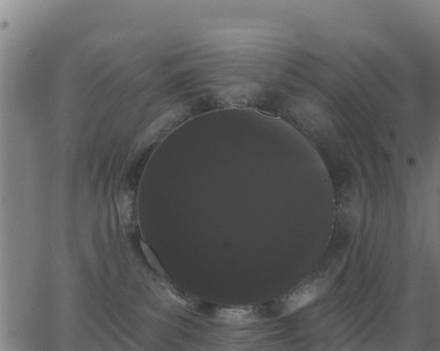 X0000062840139200601201647