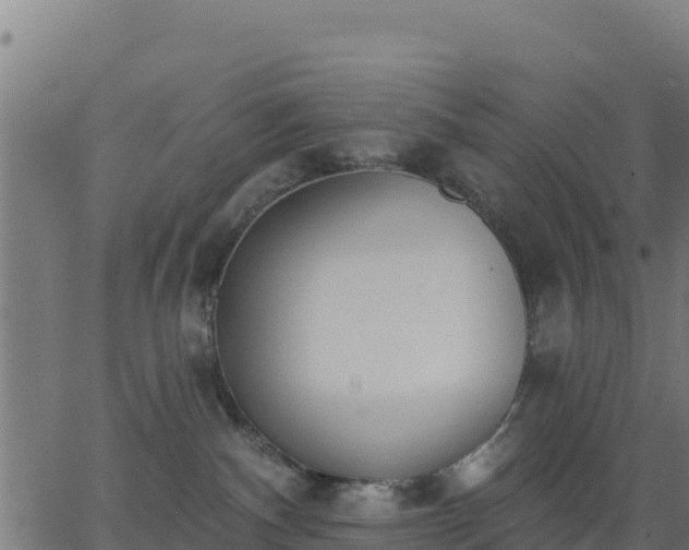 X0000062840140200601201647