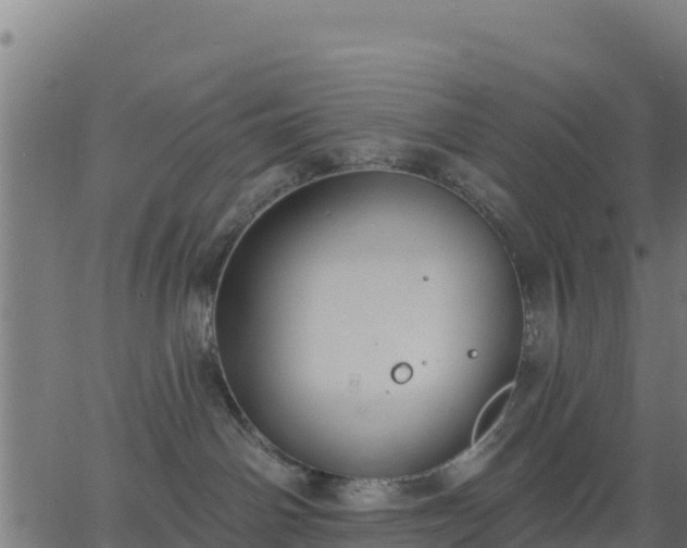 X0000062840142200601201647