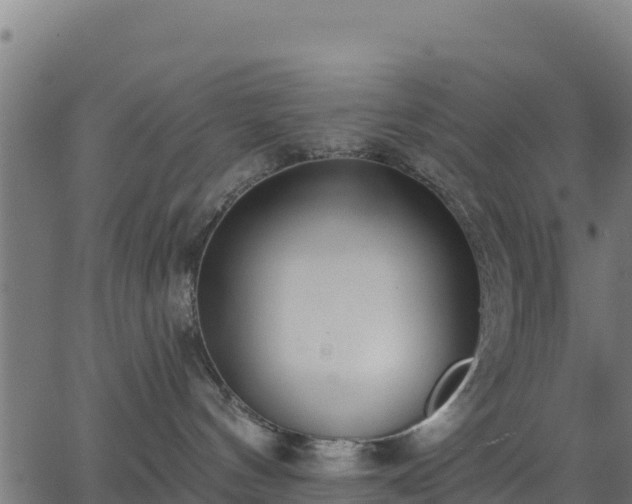 X0000062840144200601201647