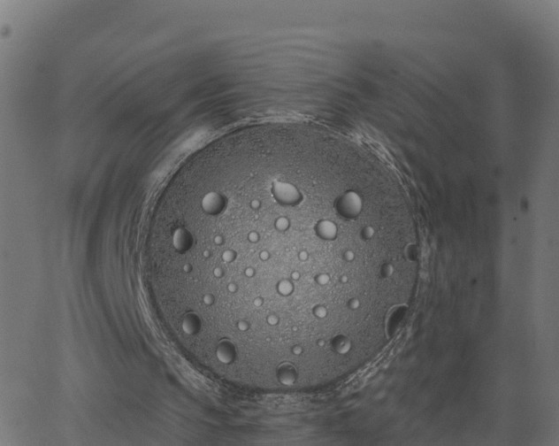 X0000062840145200601201647