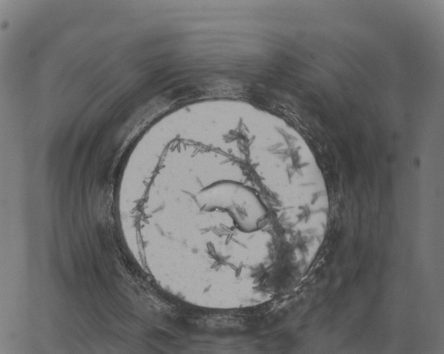 X0000062840146200601201647