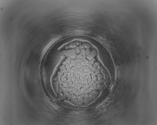 X0000062840147200601201647