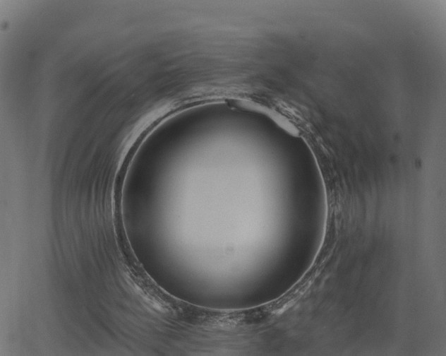 X0000062840148200601201647