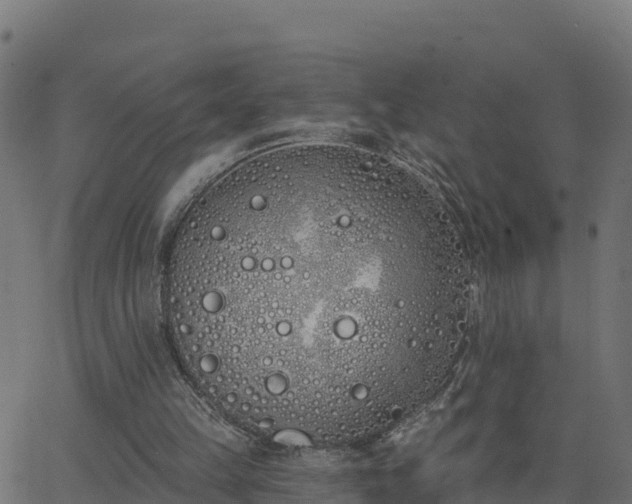 X0000062840149200601201647