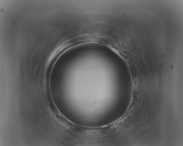 X0000062840150200601201647