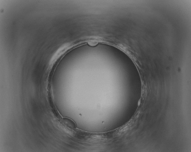 X0000062840151200601201647