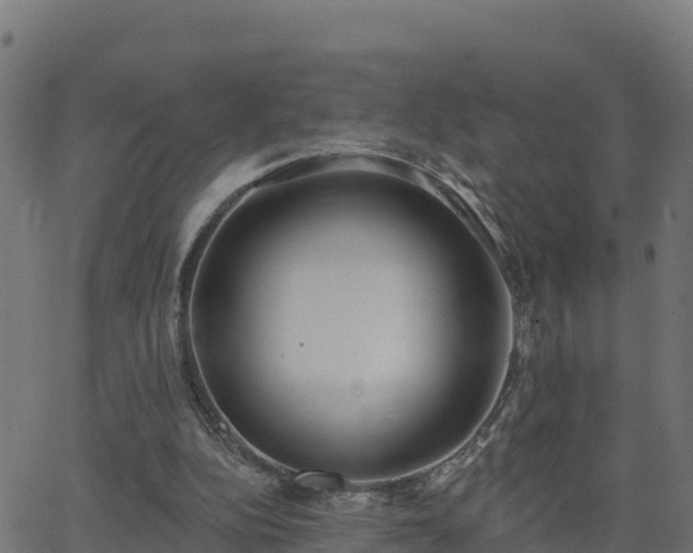 X0000062840152200601201647